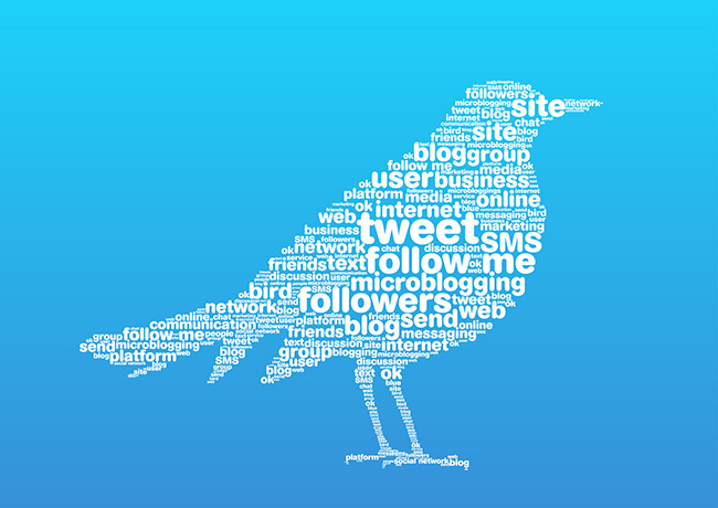 Bird words
